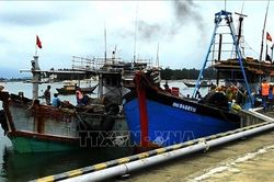 Xử lý 3 tàu cá vi phạm quy định về khai thác hải sản bền vững
