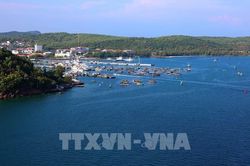 Biển xanh, kinh tế mạnh: Tầm nhìn phát triển bền vững của Việt Nam