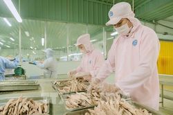 Xuất khẩu tỷ USD, doanh nghiệp An Giang vẫn lo gọng kìm mới