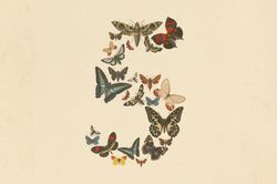 Anthropic ra mắt Claude Fable 5