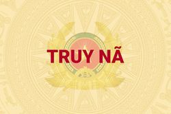 Vận động thành công đối tượng bị truy nã đang ở Nhật Bản về nước đầu thú