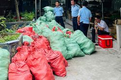 Kiểm tra Công ty Nam Nga, Quản lý thị trường Hải Phòng phát hiện lượng lớn dép trẻ em có dấu hiệu giả mạo nhãn hiệu