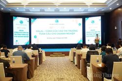 Đà Nẵng: Kết nối, xúc tiến xuất khẩu vào thị trường Halal