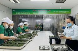 Bảo đảm an toàn thực phẩm mùa nắng nóng