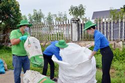Mùa hè xanh từ những việc nhỏ