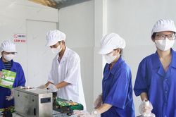 Phát triển hợp tác xã và OCOP làm trụ cột kinh tế nông thôn