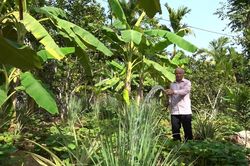 Ngành nông nghiệp Đà Nẵng chủ động chống hạn cho cây trồng