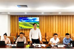 Điện Biên đề xuất hỗ trợ xây dựng vùng nguyên liệu cà phê, cao su đáp ứng quy định chống mất rừng của Liên minh châu Âu