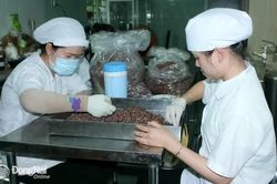 Tiếp tục hỗ trợ doanh nghiệp nhỏ và vừa chuyển đổi số