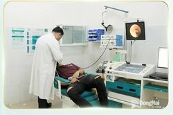 Nội soi phát hiện và gắp thành công rết dài 2 cm trong ống tai