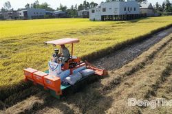 Từ người nông dân đến người kiến tạo giá trị nông nghiệp