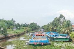 Đồng Tháp: Khẩn trương khắc phục tình trạng ùn ứ kéo dài trên Kênh 2