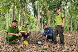Vườn Quốc gia Kon Ka Kinh tái thả 15 cá thể động vật quý hiếm về môi trường tự nhiên