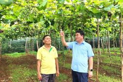Nâng cao năng lực lãnh đạo của bí thư đảng ủy cấp xã