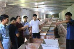 Đoàn công tác của Ban Chỉ đạo phát triển kinh tế tập thể tỉnh làm việc tại xã Mường Tè