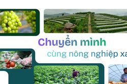 Chuyển mình cùng nông nghiệp xanh