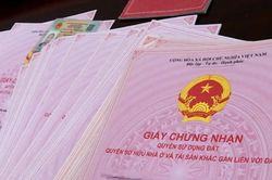 Luật Đất đai 2024: Diện tích bao nhiêu thì được cấp sổ hồng?