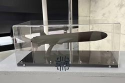 Ukraine ra mắt tên lửa Areion tầm bắn 600km tích hợp bệ phóng Neptune