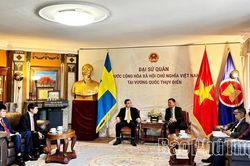 Tỉnh Phú Thọ mong muốn thúc đẩy quan hệ hợp tác với Vương quốc Thụy Điển
