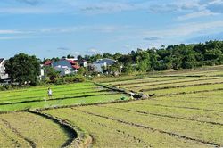 Vụ hè thu 2026: Không chỉ lo thiếu nước