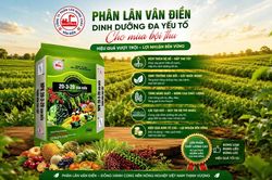 Đầu tư phân bón đúng cách, gia tăng giá trị mùa vụ