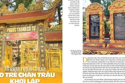 Thăm ngôi chùa do trẻ chăn trâu khởi lập