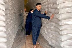 Cục Dự trữ Nhà nước: Hoạt động hiệu quả sau tinh gọn tổ chức bộ máy