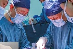 Bước đột phá y học: Lần đầu ghép đồng thời gan và thận lợn cho người