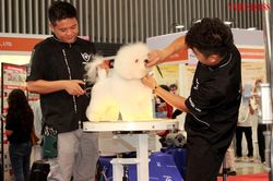Làn sóng cá nhân hóa tạo đà cho các lĩnh vực mới ở Việt Nam
