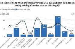 Việt Nam nhập khẩu 1,27 tỷ USD than từ Indonesia trong 5 tháng