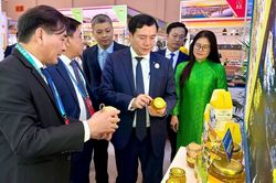 70 doanh nghiệp Việt tìm hiểu cơ hội xuất khẩu tại Hội chợ Trung Quốc - Nam Á