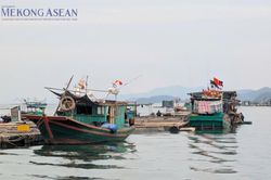 Triển vọng hình thành chuỗi cung ứng thủy sản bổ trợ giữa Việt Nam - Ấn Độ