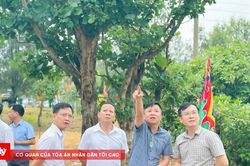 Đảm bảo điều kiện tốt nhất cho Lễ hội Đền Chiêu Trưng Đại Vương Lê Khôi
