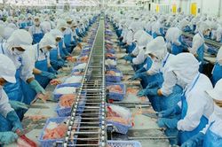 Xuất khẩu thủy sản phục hồi tích cực