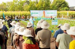 Khi những triền đồi thức giấc - Kỳ 1: Bắt đầu từ sự thay đổi của người nông dân