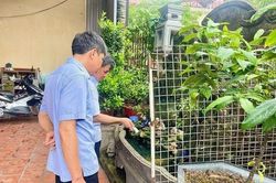 Sốt xuất huyết tăng gấp 2,5 lần, phá vỡ quy luật cũ