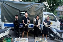 Triệt xóa nhóm đối tượng trộm mèo quy mô lớn tại TP Hồ Chí Minh