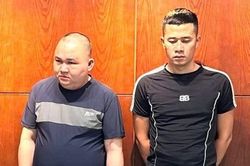 Gắn biển kiểm soát ô tô giả để buôn bán động vật quý hiếm