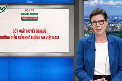 Sốt xuất huyết Dengue đang phá vỡ mọi quy luật cũ