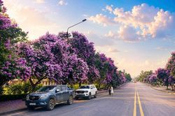 Sắc hoa mùa hạ tô điểm du lịch miền non nước