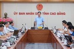 Phó Chủ tịch UBND tỉnh Vũ Đình Quang: Đẩy nhanh xử lý các hợp tác xã ngừng hoạt động, nâng cao chất lượng kinh tế tập thể