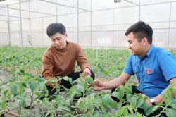Khơi nguồn tăng trưởng từ sức trẻ.Bài 3: Những đột phá chiến lược cho thanh niên Việt Nam
