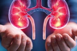 5 dấu hiệu ban đêm chứng tỏ thận của bạn rất khỏe mạnh