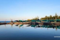 Tp. Huế: Chủ động ứng ph&oacute; diễn biến m&ocirc;i trường, bảo đảm an to&agrave;n nu&ocirc;i trồng thủy sản