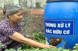 Môi trường xanh sinh học - Nền tảng của hệ sinh thái cân bằng