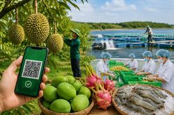 Đẩy nhanh hoàn thiện hệ thống truy xuất nguồn gốc nông sản