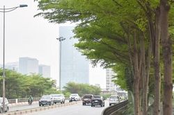 Hà Nội ngày nắng, chiều có mưa rào