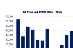 Ngân hàng chiếm 80% tổng giá trị trái phiếu mua lại trước hạn