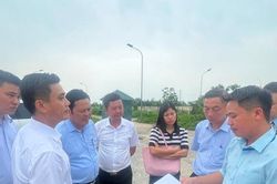 Rà soát các điểm giết mổ tập trung: Tìm giải pháp gỡ nút thắt đầu tư