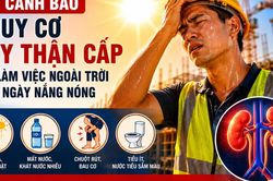 Vì sao nắng nóng kéo dài làm tăng nguy cơ suy thận cấp?